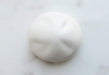 Plum Plastic Accessory 05 Head Accessory Plastic Model Parts MS059 White NEW_3
