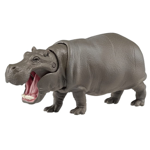 Takara Tomy Ania AS-06 Hippo (Floating Ver.) PVC Real Design Animal Figure NEW_1