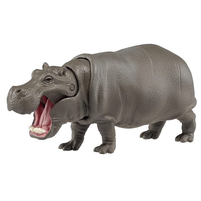 Takara Tomy Ania AS-06 Hippo (Floating Ver.) PVC Real Design Animal Figure NEW_1