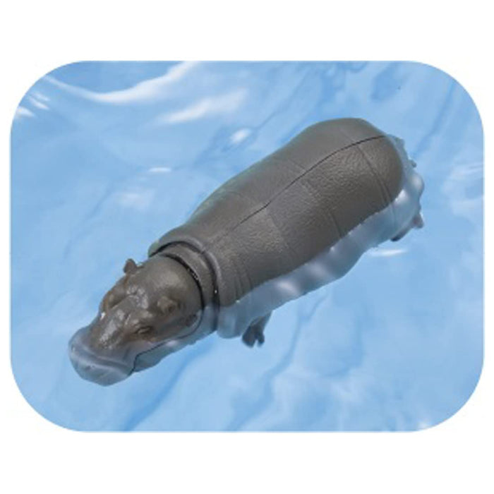 Takara Tomy Ania AS-06 Hippo (Floating Ver.) PVC Real Design Animal Figure NEW_7