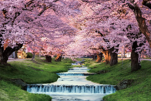 Yanoman 1000pc Jigsaw Puzzle Sakura Trees along Kannonji River 50x75cm ‎10-1410_1
