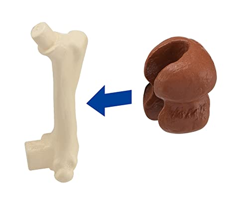 MegaHouse Dismantling Puzzle Science Mammoth Restoration 37-pieces ‎MH51633 NEW_9