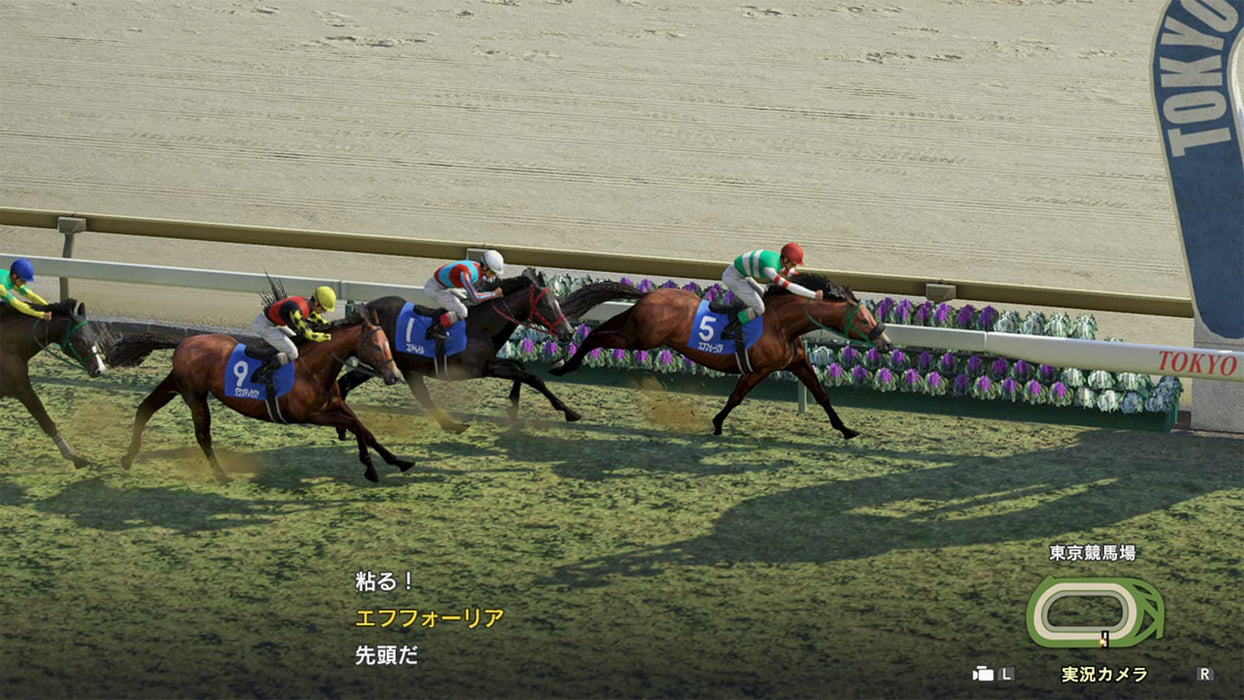 Winning Post 9 2022 Nintendo Switch Horse Racing Simulation Game HAC-P-A6LXA NEW_6