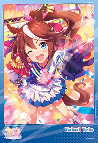 ENSKY Jigsaw Puzzle Uma Musume Pretty Derby Dream Big! 300 Pieces 300-1911 NEW_1