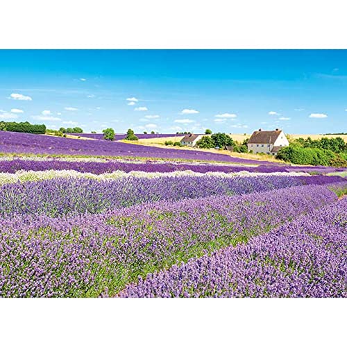 APPLEONE 500pc Jigsaw Puzzle Lavender Field Wind Cotswolds 38x53cm ‎500-291 NEW_1