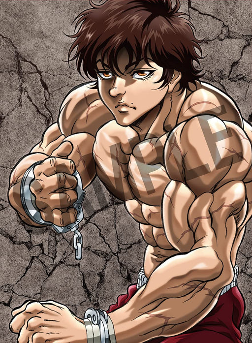 Hanma Baki Blu-ray BOX Standard Edition DMPXA-247 Grappler Baki Series Anime NEW_1