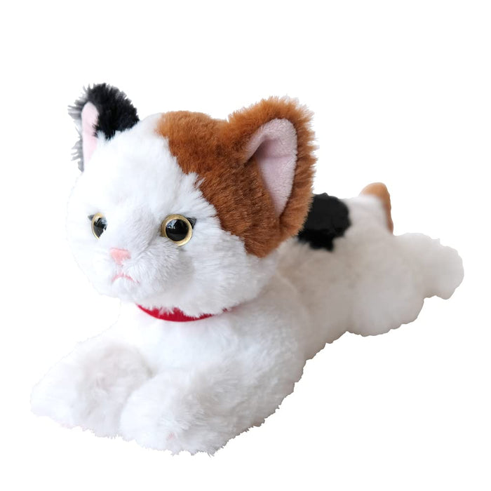 Sun Lemon Hizaneko Knee Calico Cat SS Plush Doll 11x12x29cm Animal P-8052 NEW_1