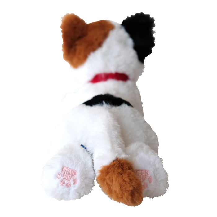 Sun Lemon Hizaneko Knee Calico Cat SS Plush Doll 11x12x29cm Animal P-8052 NEW_4