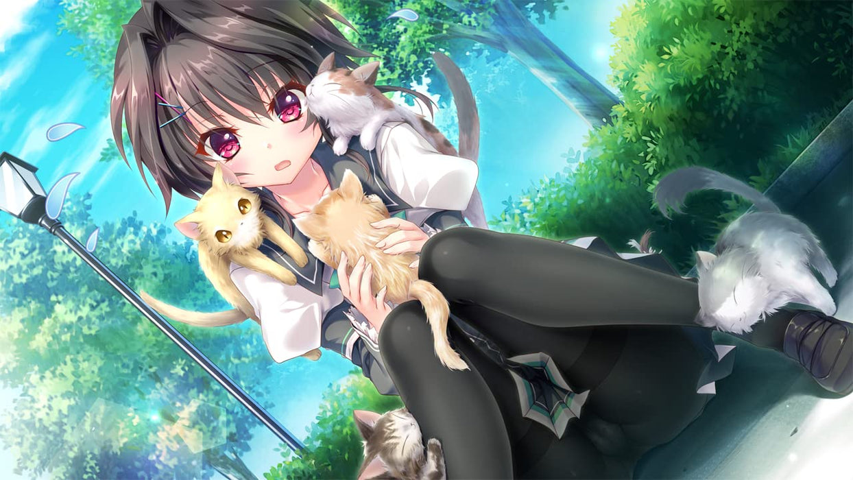 9-nine- Nintendo Switch Standard Edition Romance Adventure Game HAC-P-A5Q3A NEW_5