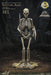 Ray Harryhausens Skeleton Army Resin Statue 300mm non-scale Figure SA9051 NEW_1
