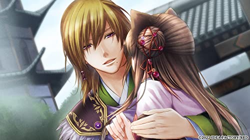 Jusanshi Engi Engetsu Sangokuden 1 & 2 Switch Special Edition JZSW-22075 NEW_5