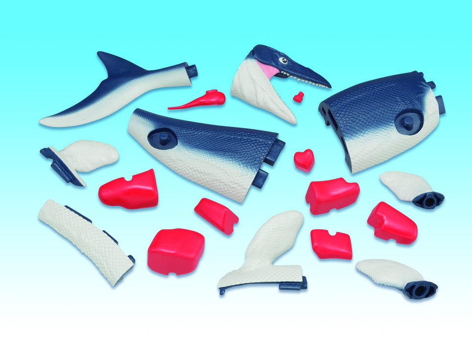 MegaHouse Dismantling Puzzle Science Mosasaurus Restoration Puzzle figure NEW_3