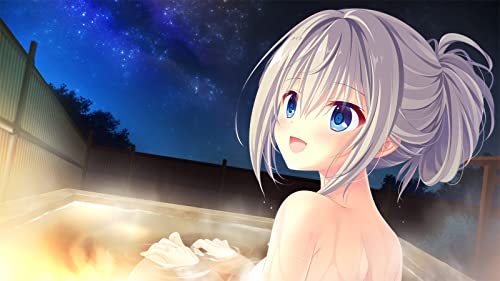 D.C.4 Fortunate Departures Complete Limited Edition Nintendo Switch EGCS-00156_5