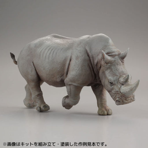 KAIYODO ART PLA Zookeeper & White Rhino Set Unpainted Plastic Model Kit AP006_2