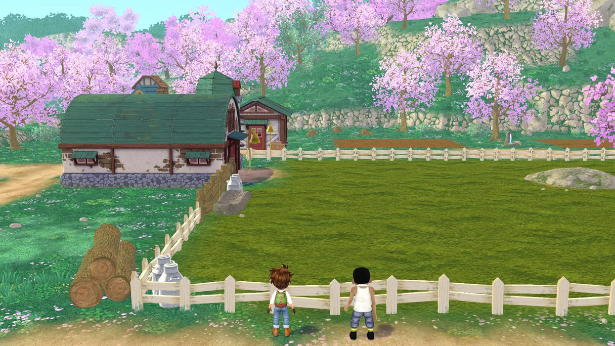 Nitendo Switch Game Software Harvest Moon: Welcome! Wonderful Life HAC-P-A9QCA_7