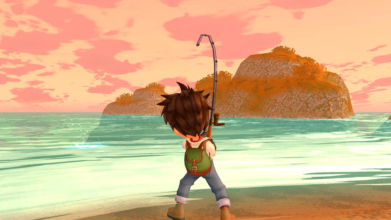 Nitendo Switch Game Software Harvest Moon: Welcome! Wonderful Life HAC-P-A9QCA_9