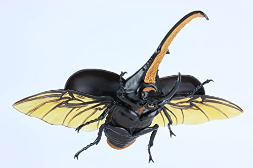 Fujimi Jiyukenkyu Series No.26 Creatures Hercules Beetle Plastic Model Kit NEW_6