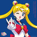 Pretty Guardian Sailor Moon: The 30th Anniversary Memorial Album 12" LP NAS-2122_1