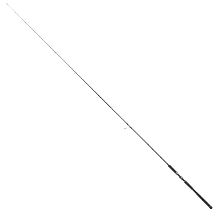 Tailwalk RIZE SHOOTER SSD S100M Spinning Rod for Lure Fishing 2-pieces 10 ft NEW_1