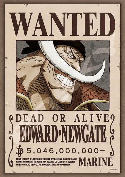 Ensky One Piece Jigsaw Puzzle Bounty 5,046 million berries 208 Pieces 208-109_1