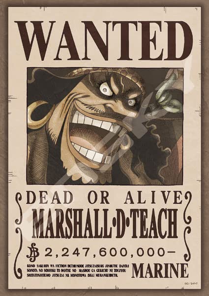 One Piece Jigsaw Puzzle Bounty 2,247,600,000 berries 208 Pieces 208-105 NEW_1