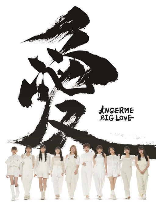 ANGEREME BIG LOVE [2CD+Blu-ray+Photobook] First Edition Type A HKCN-50750 NEW_1
