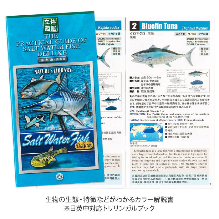 COLORATA Saltwater Fish Figure Deluxe Set 15 Species Box Manual Included NEW_3