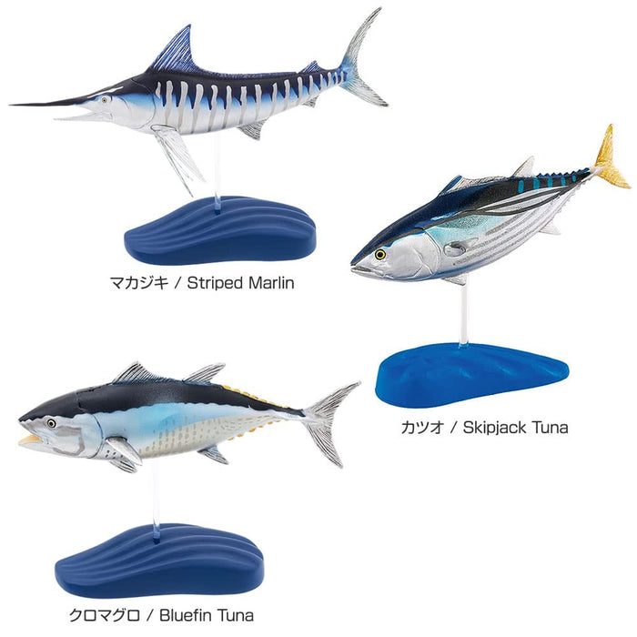 COLORATA Saltwater Fish Figure Deluxe Set 15 Species Box Manual Included NEW_4