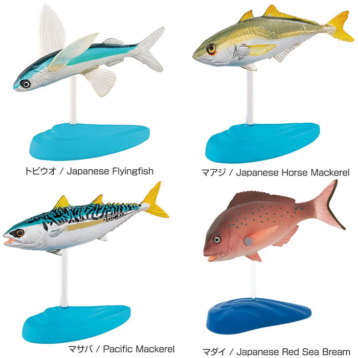 COLORATA Saltwater Fish Figure Deluxe Set 15 Species Box Manual Included NEW_6
