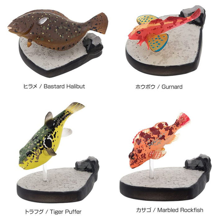 COLORATA Saltwater Fish Figure Deluxe Set 15 Species Box Manual Included NEW_7