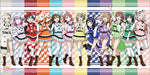 Bushiroad Rubber Mat Collection V2 Vol.454 Love Live! Nijigasaki SIF W60xH30cm_1