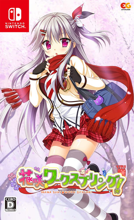 Nintendo Switch Video Game Hanasaki Work Spring! Standard Edition HAC-P-BBKNA_1
