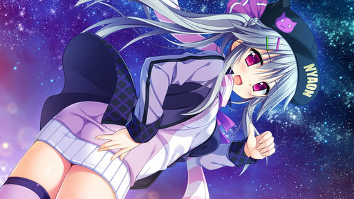 Nintendo Switch Video Game Hanasaki Work Spring! Standard Edition HAC-P-BBKNA_2