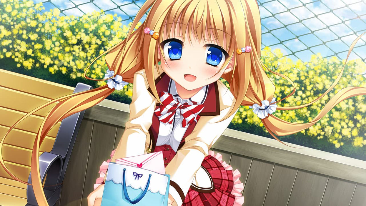 Nintendo Switch Video Game Hanasaki Work Spring! Standard Edition HAC-P-BBKNA_6