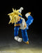 Bandai S.H.Figuarts DRAGON BALL Z Super Saiyan Trunks Super Power Figure ‎221109_5