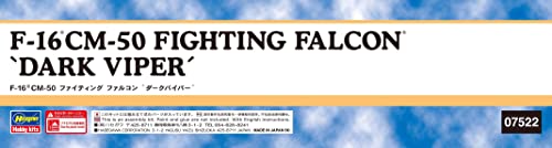 Hasegawa 1/48 US AIR FORCE F-16CM-50 FIGHTING FALCON DARK VIPER Model Kit 07522_4