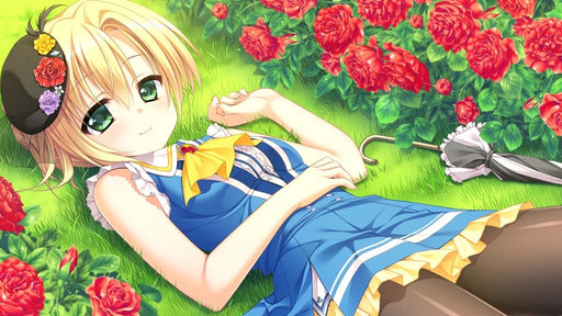 Floral Florab Nintendo Switch Japanese Ver. Romance Adventure Game HAC-P-BA7HA_2