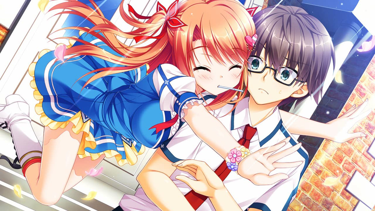 Floral Florab Nintendo Switch Japanese Ver. Romance Adventure Game HAC-P-BA7HA_3