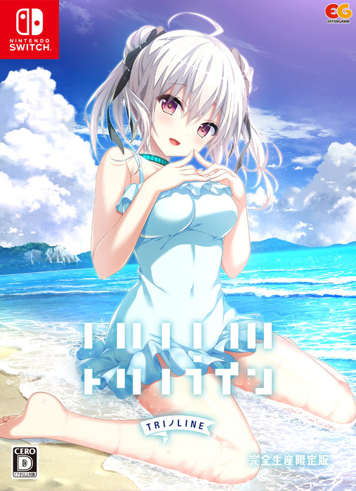 Torino Line Completely Limited Edition W/Bonus Nintendo Switch Game EGCS-00118_1