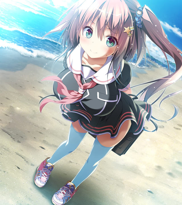 Torino Line Completely Limited Edition W/Bonus Nintendo Switch Game EGCS-00118_2