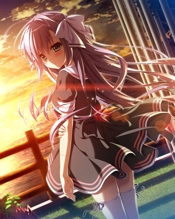 Torino Line Completely Limited Edition W/Bonus Nintendo Switch Game EGCS-00118_3