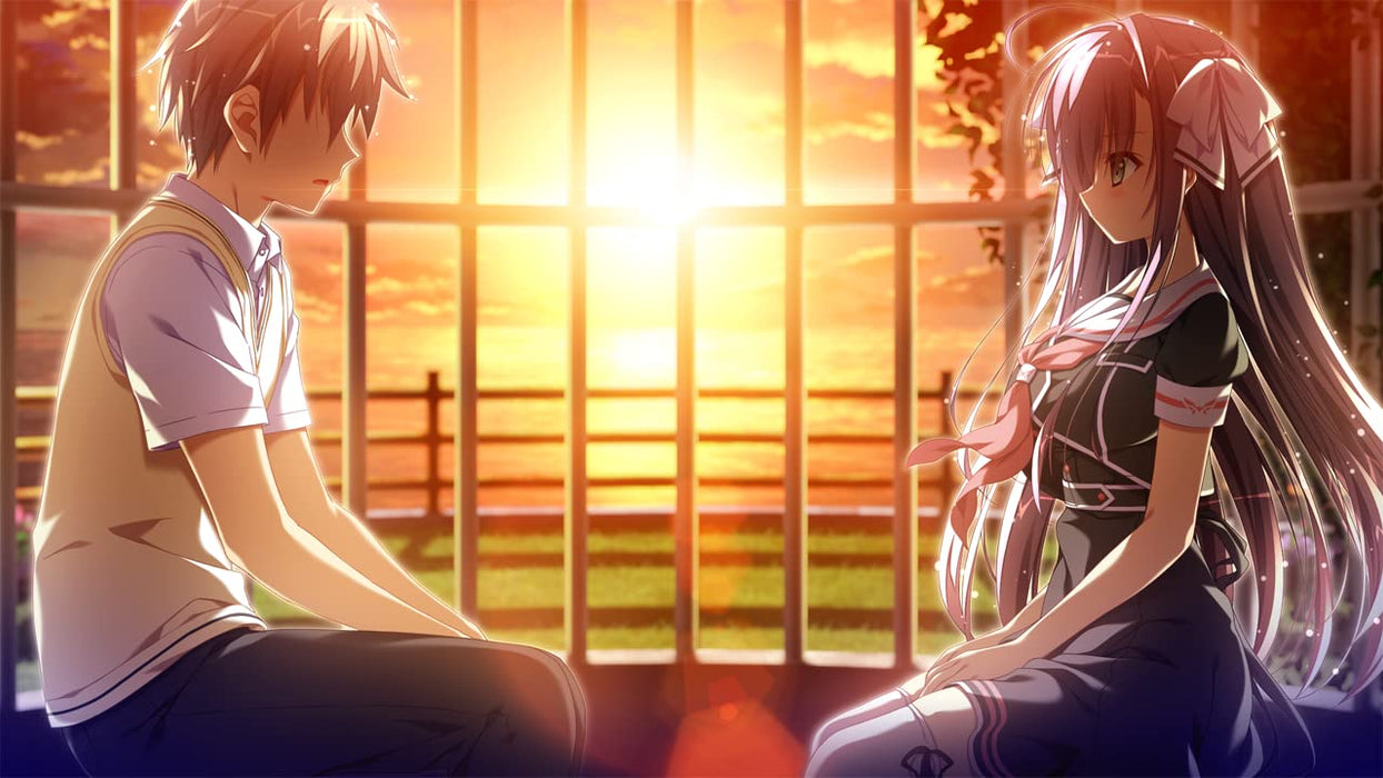 Torino Line Completely Limited Edition W/Bonus Nintendo Switch Game EGCS-00118_5