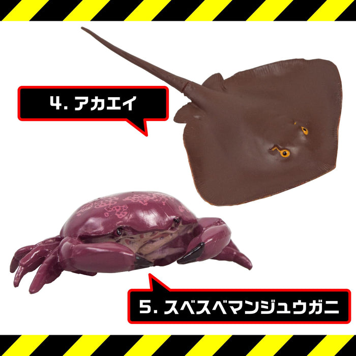 The Access 3D Illustrated Guide Dangerous Sea Creatures Figure PVC Multicolor_5