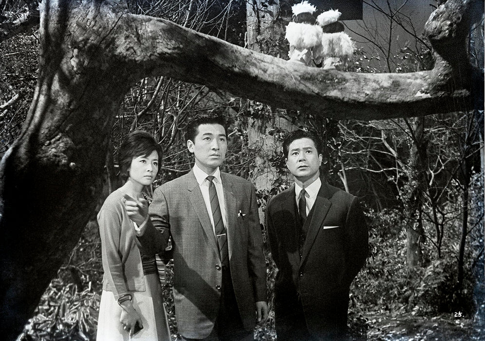 [Blu-ray] Mothra vs. Godzilla 4K Remaster Blu-ray Movie TBR-33186D Standard Ed._3