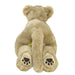 Sun Lemon Knee Baby Lion Plush Doll 17x43.5x18cm Animal Doll P-8882 Polyester_3