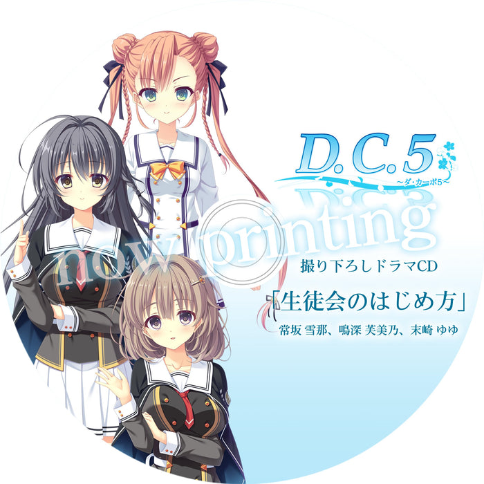Switch D.C.5 Limited Edition Software + Drama CD + B2 Tapestry EGCS-00226 NEW_2