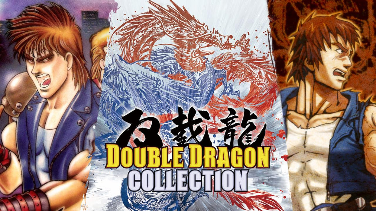 Double Dragon Collection Nintendo Switch Video Game Standard Edition HAC-P-A9YZA_8