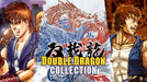 Double Dragon Collection Nintendo Switch Video Game Standard Edition HAC-P-A9YZA_8