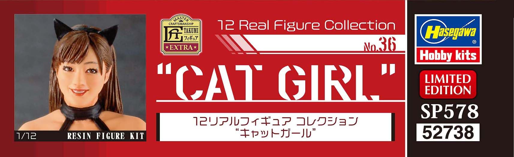 Hasegawa 1/12 scale Real Figure Collection No.36 CAT GIRL RESIN Kit SP578 NEW_8