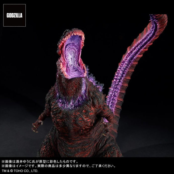 Limited Ver. Toho 30cm Series Yuuji Sakai Godzilla 2016 4th Form Awaken Figure_3